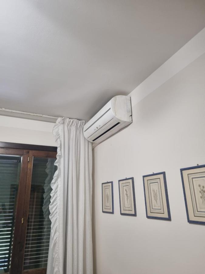 Dimora Fiore Apartment Lucca Exterior photo